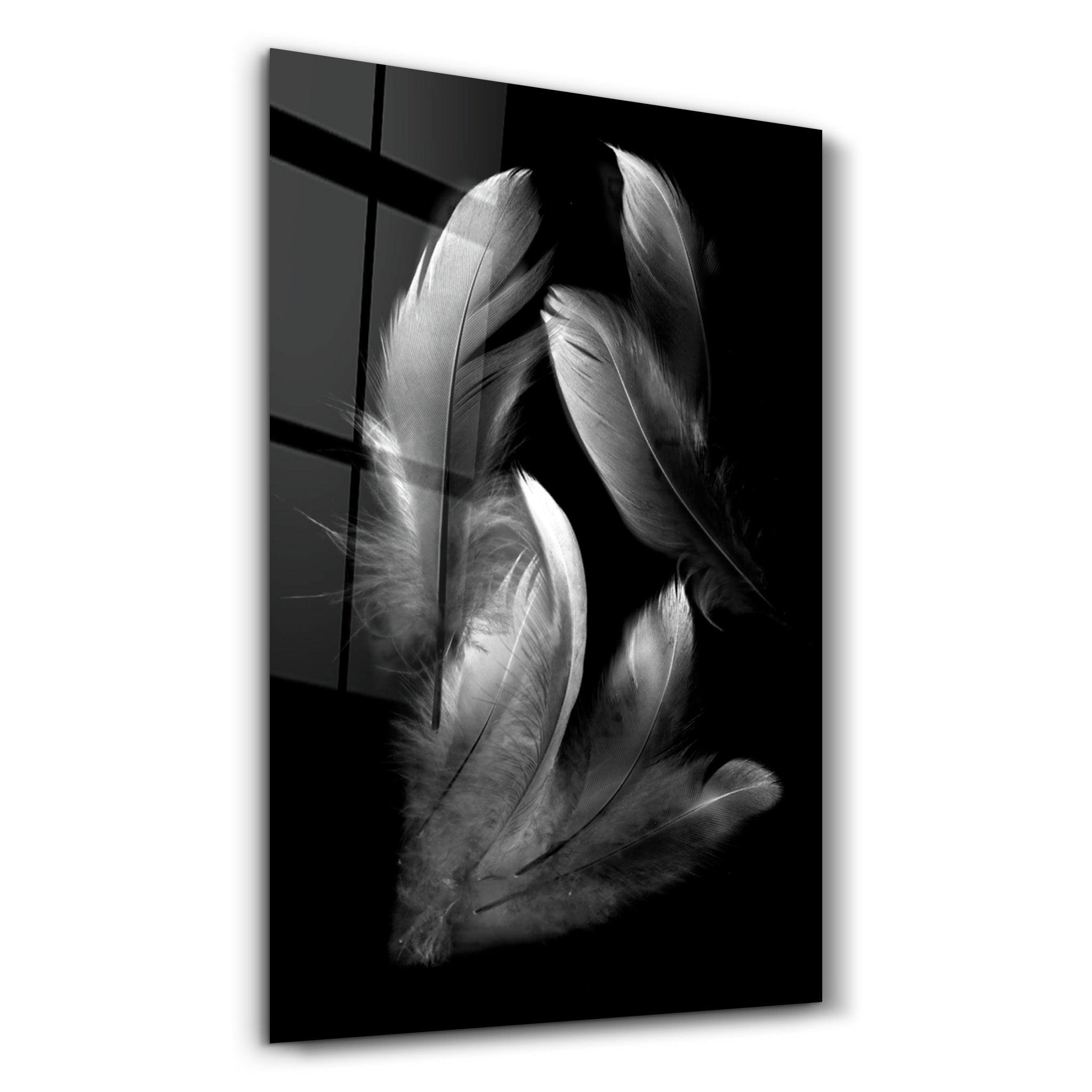 White Feathers | Glass Wall Art - Artdesigna