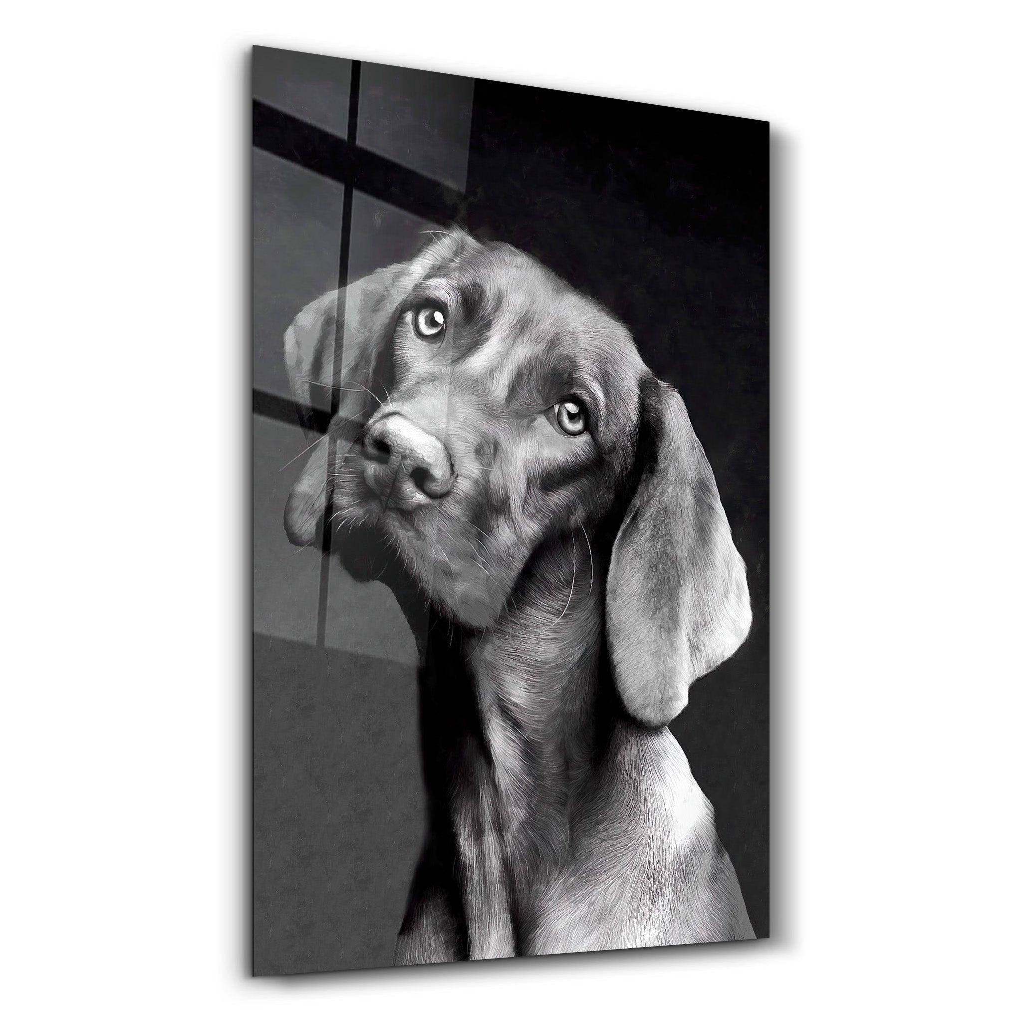 Innocent Dog | Glass Wall Art - Artdesigna