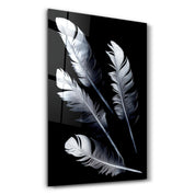 White Feathers | Glass Wall Art - Artdesigna