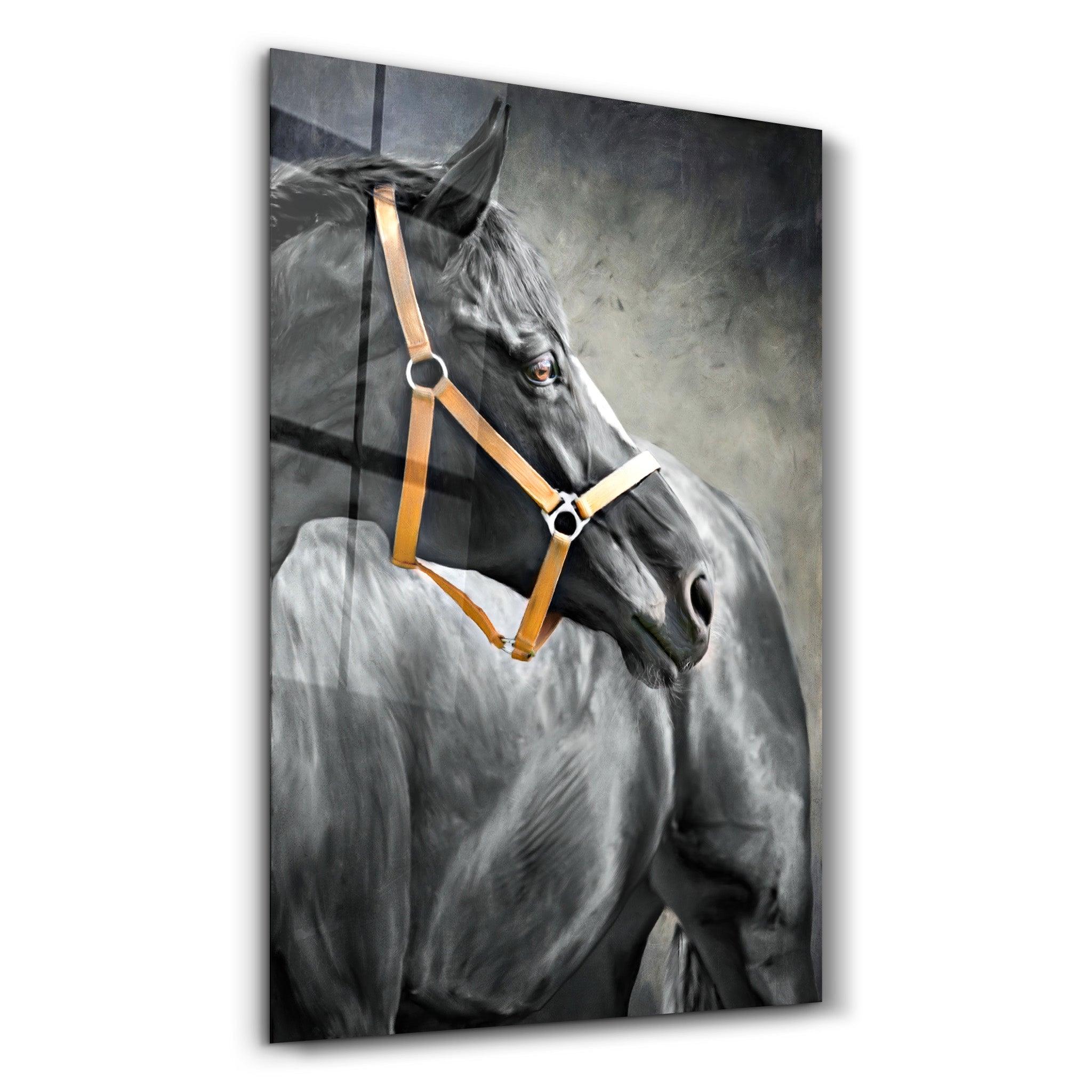 The Yellow Reins | Glass Wall Art - Artdesigna