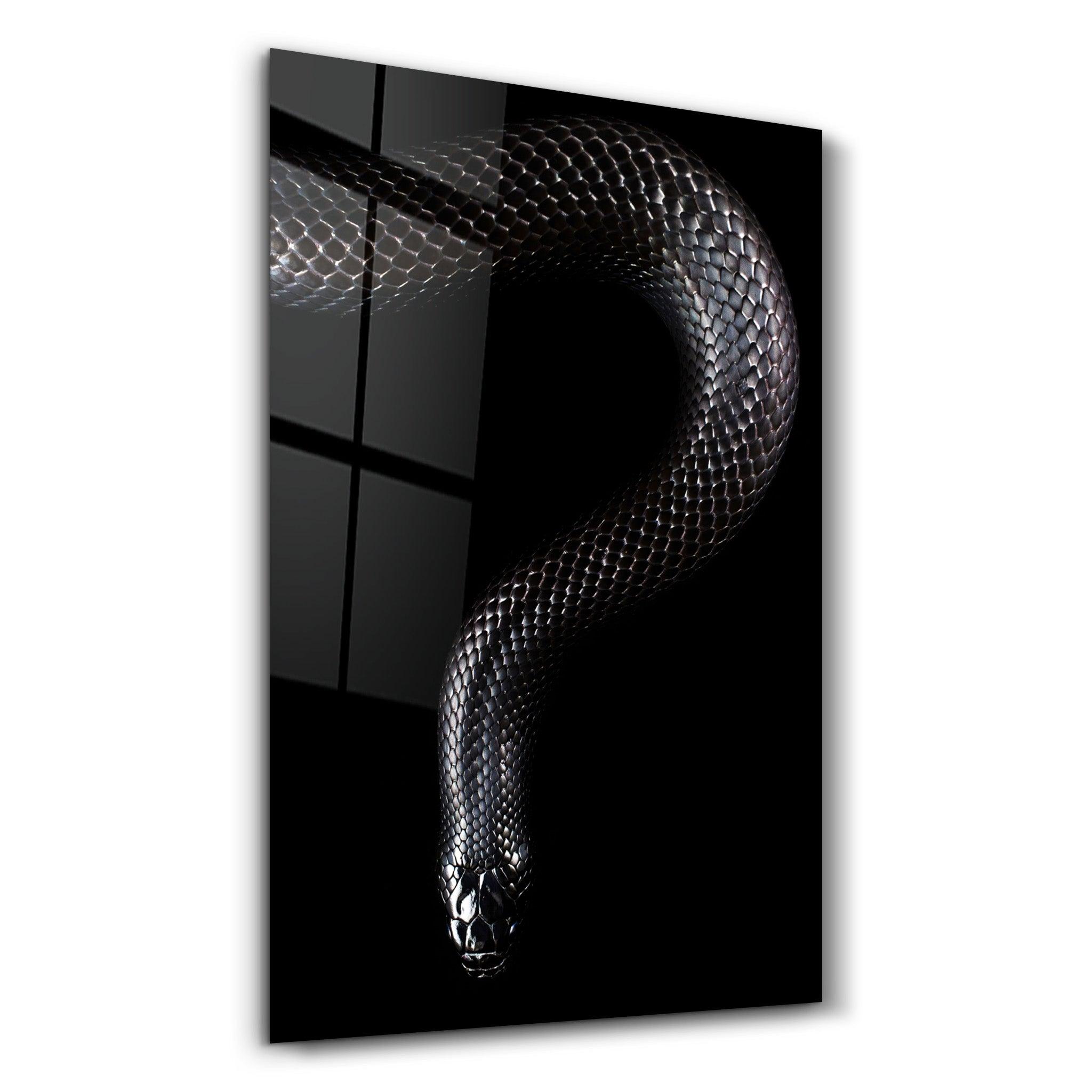 The black Mamba | Glass Wall Art - Artdesigna