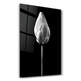 Silent Awakening | Glass Wall Art