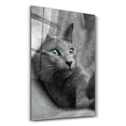 Cat 2 | Glass Wall Art - Artdesigna