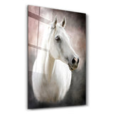 Horse | Glass Wall Art