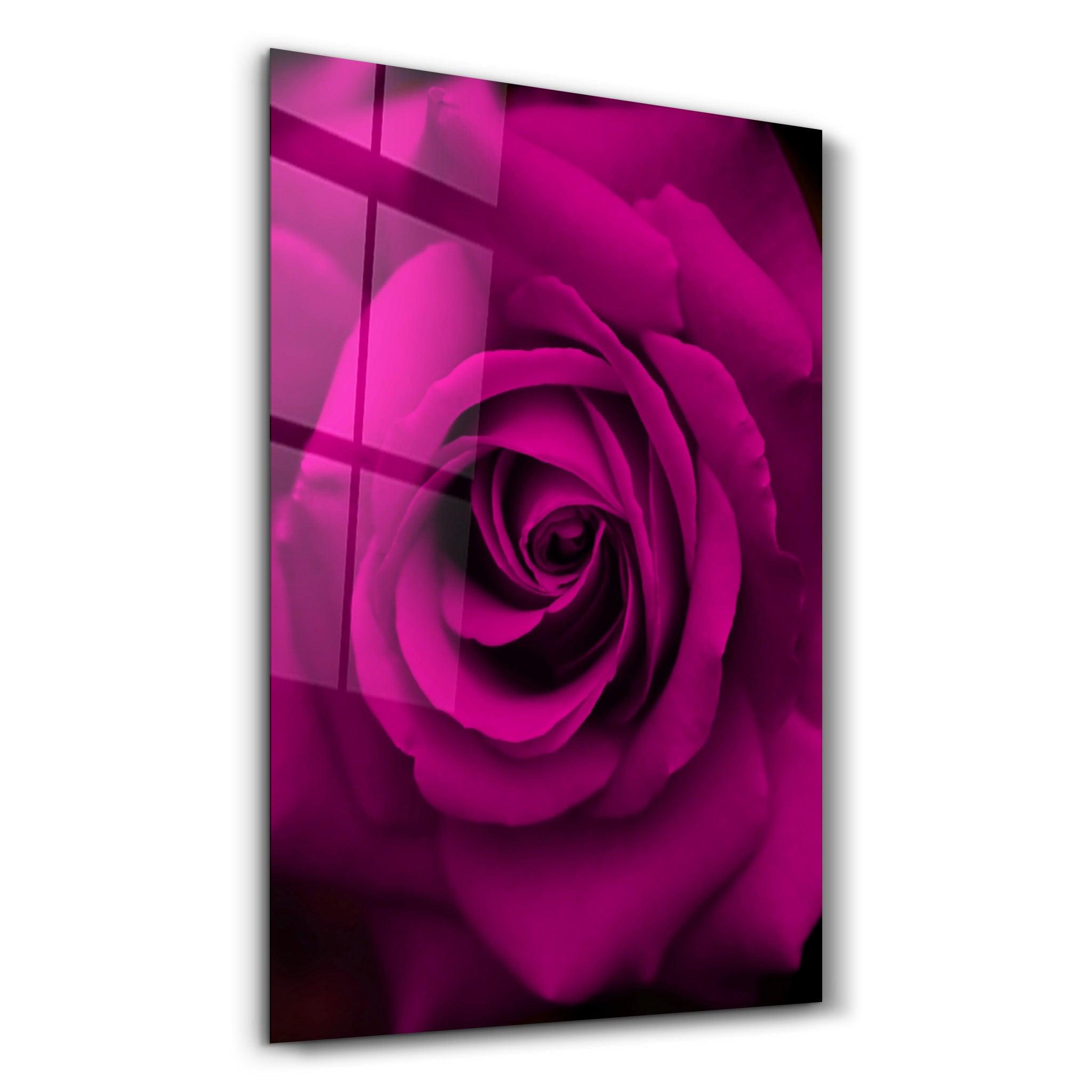 Rose | Glass Wall Art - Artdesigna