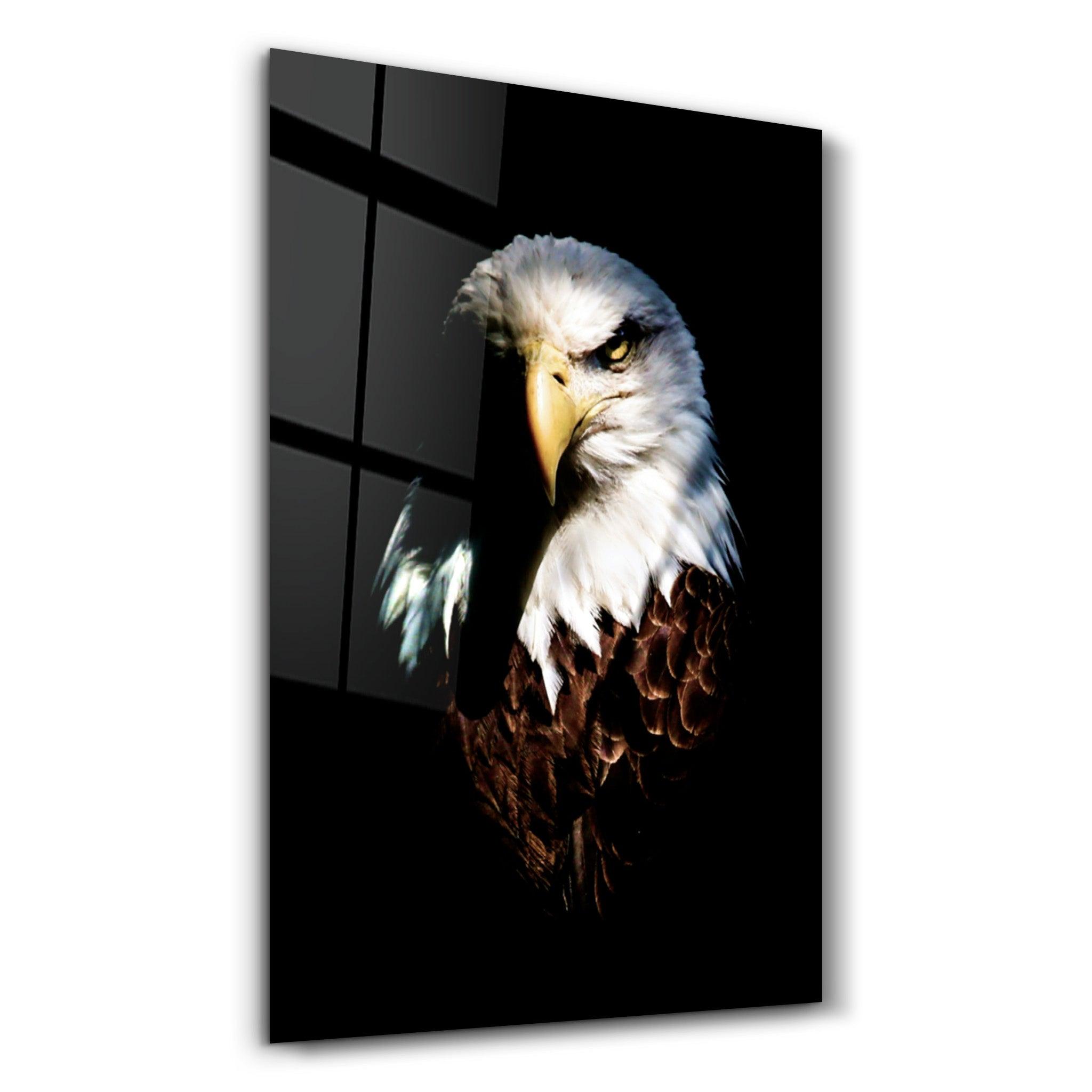 Eagle | Glass Wall Art - Artdesigna