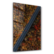 Alone in the Road | Glass Wall Art - Artdesigna