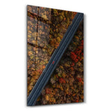 Alone in the Road | Glass Wall Art