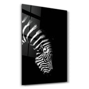 Young Zebra | Glass Wall Art - Artdesigna