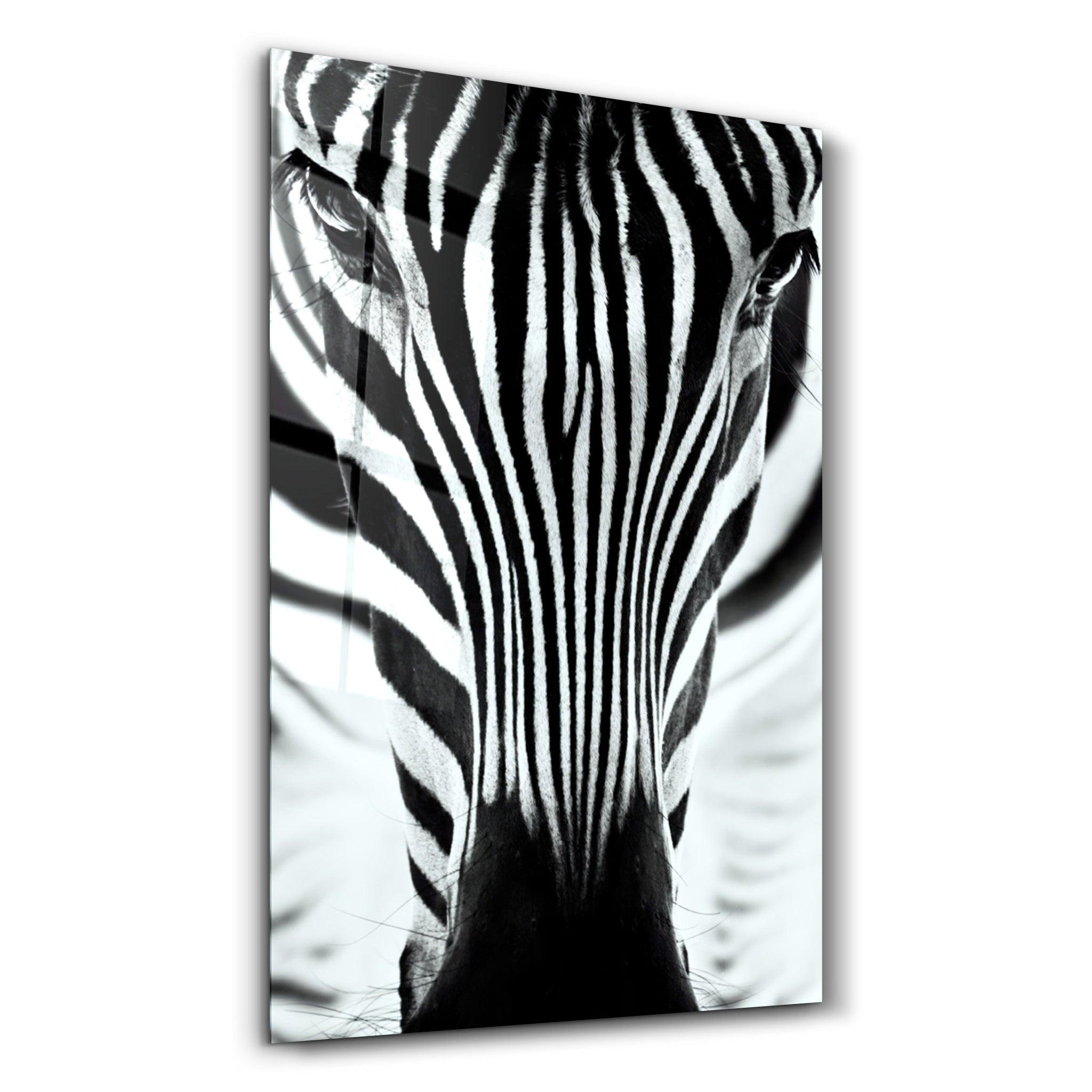 Zebra V2 | Glass Wall Art - Artdesigna