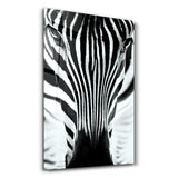 Zebra V2 | Glass Wall Art