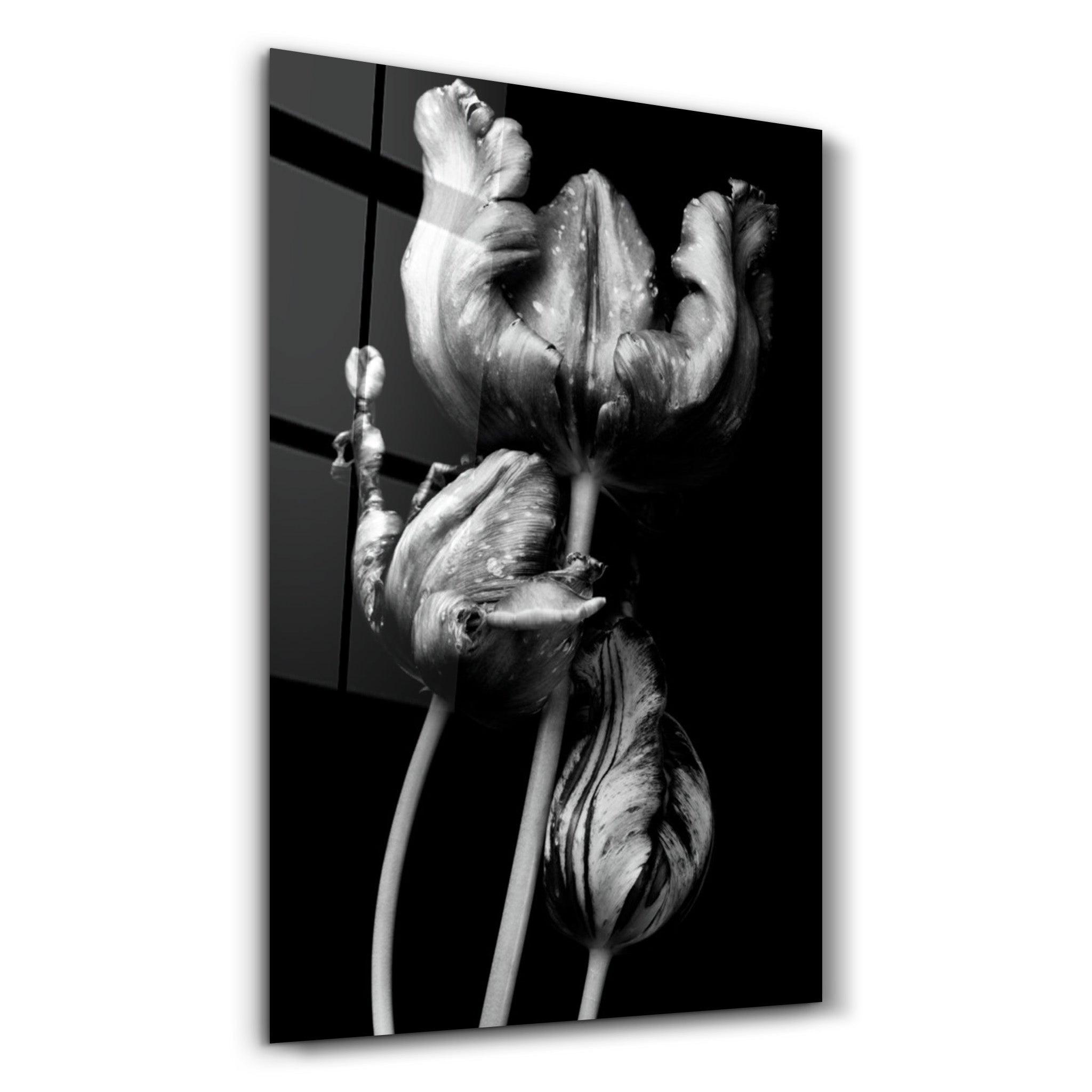 Black - White Flower 2 | Glass Wall Art - Artdesigna