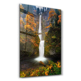 Nature All | Glass Wall Art