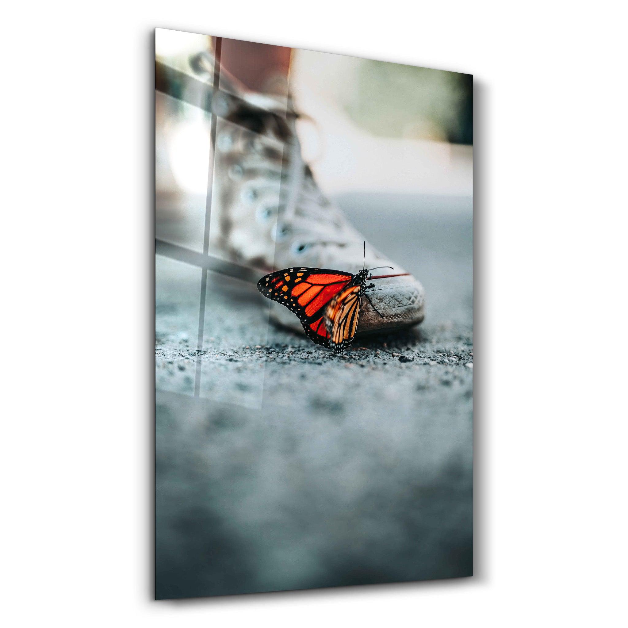 You Can Fly | Designer's Collection Glass Wall Art - Artdesigna