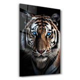 Blue Eyes - Tiger | Designers Collection Glass Wall Art