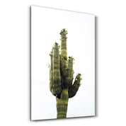 Giant Cactus | Glass Wall Art - Artdesigna