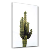 Giant Cactus | Glass Wall Art