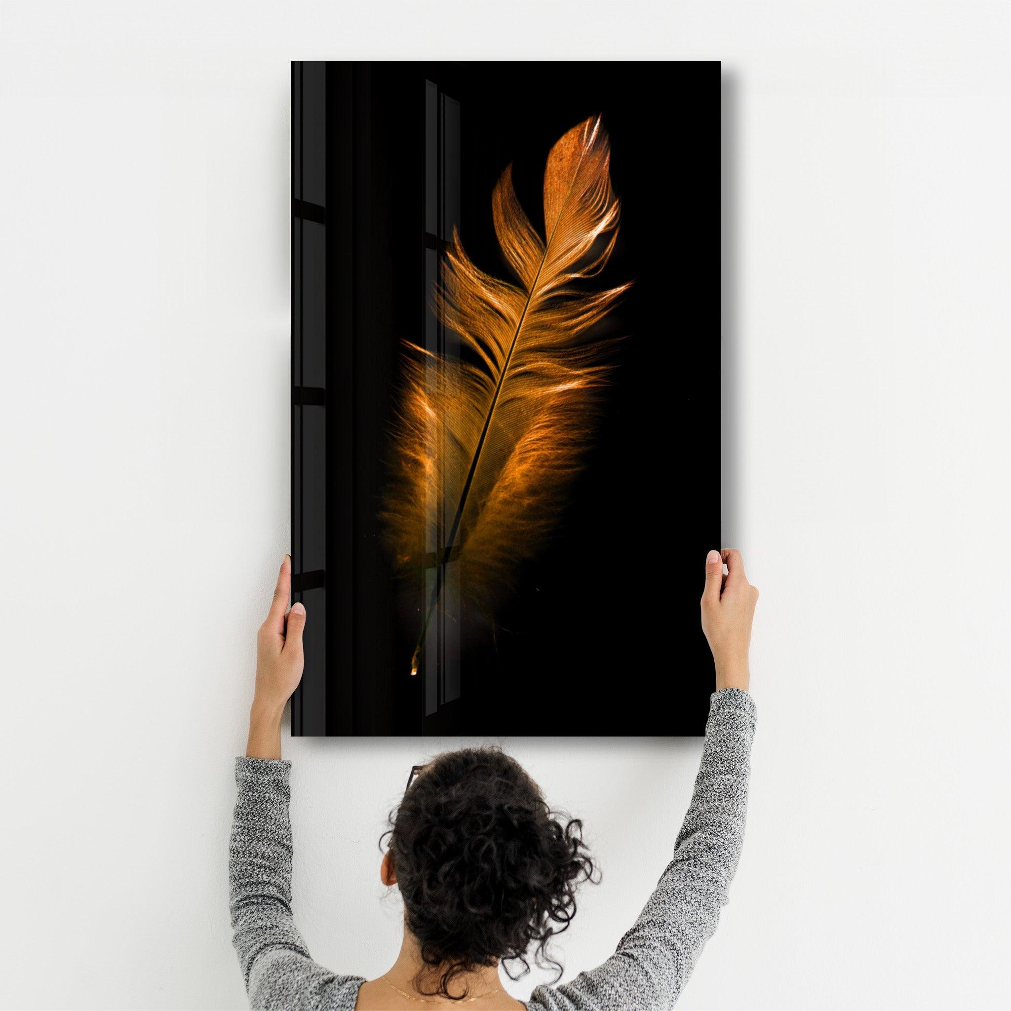 Orange Feather | Glass Wall Art - Artdesigna