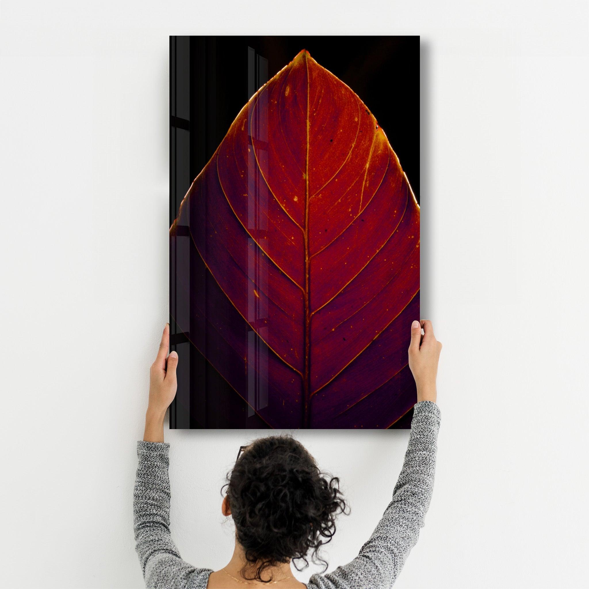 Leaf v2 | Glass Wall Art - Artdesigna