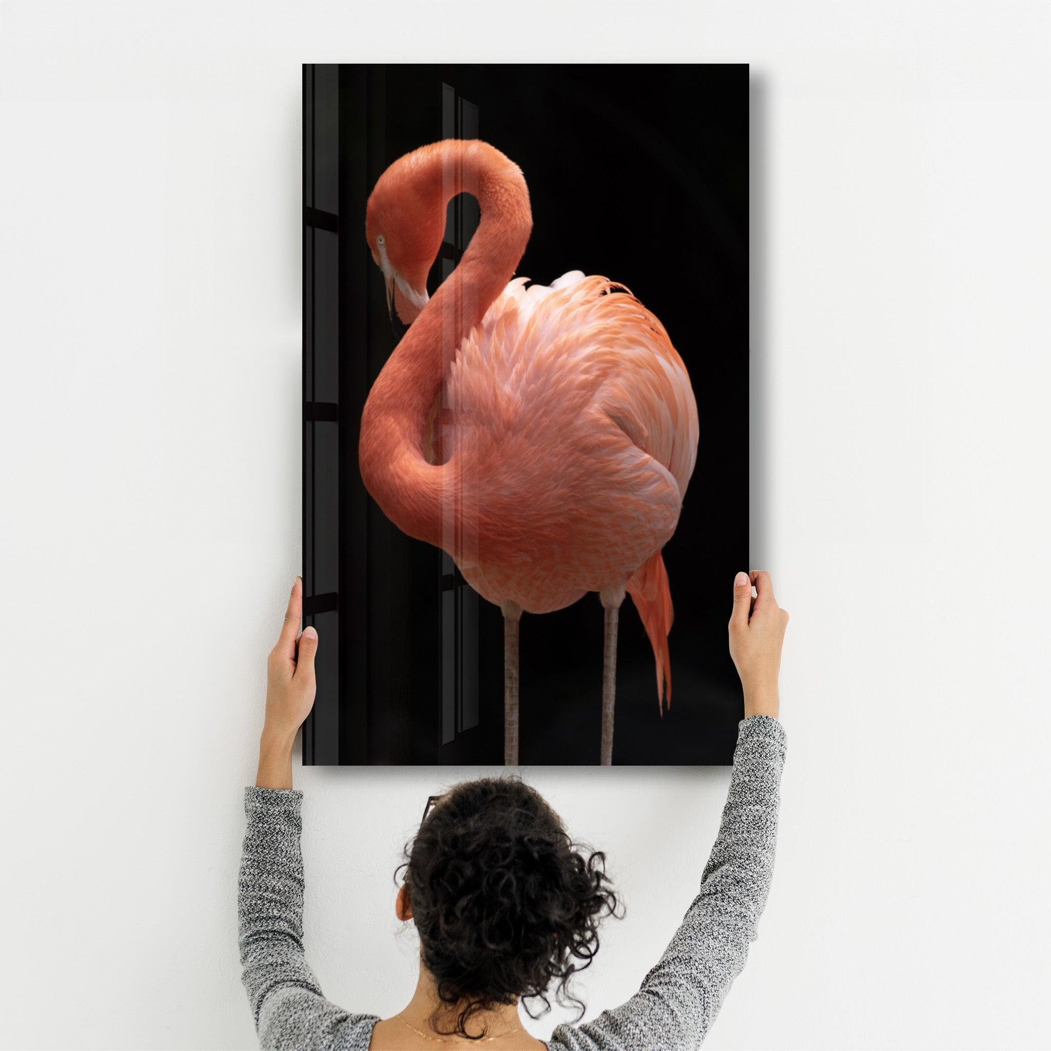 Flamingo V2 | Glass Wall Art - Artdesigna