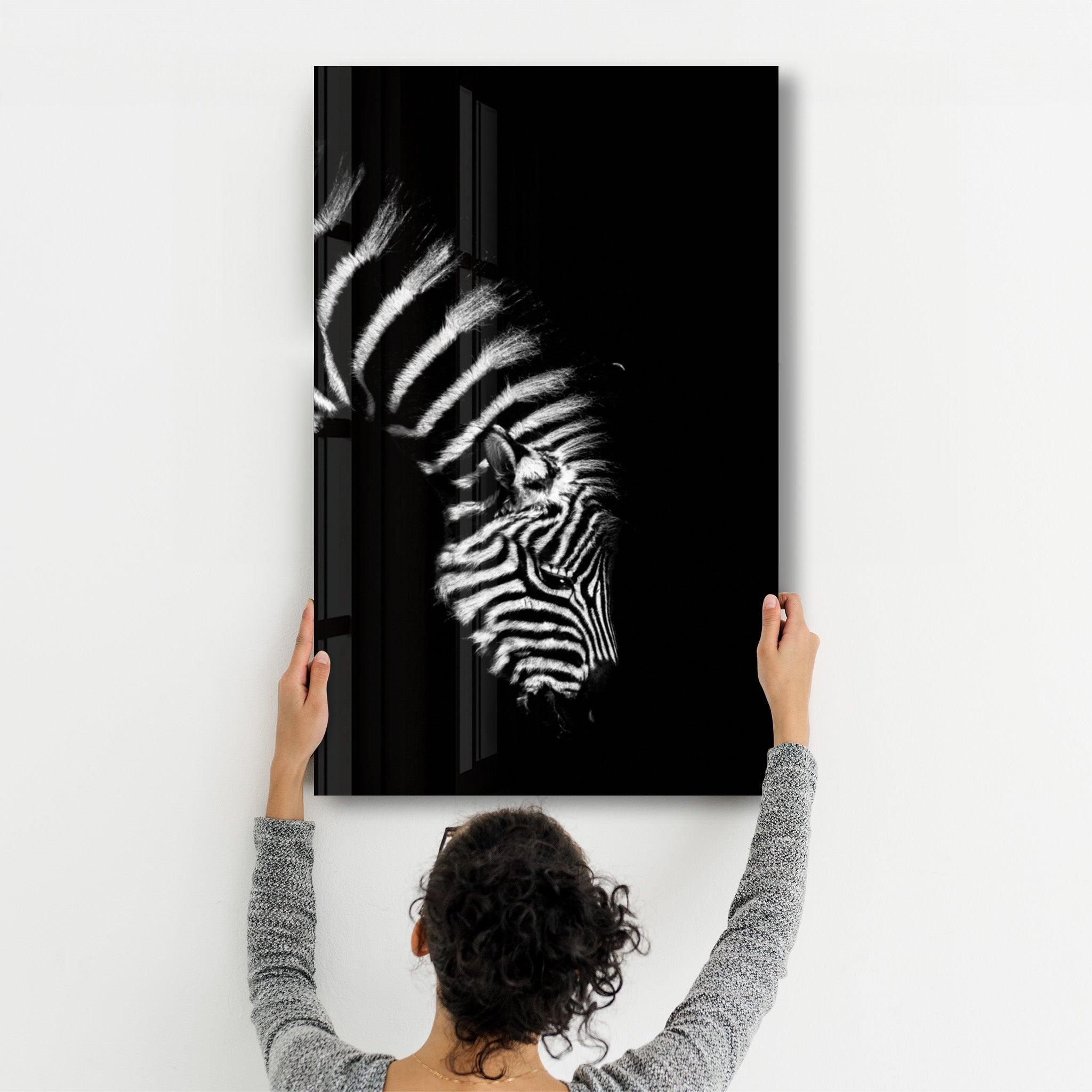 Young Zebra | Glass Wall Art - Artdesigna