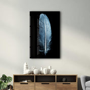 Blue Feather | Glass Wall Art - Artdesigna