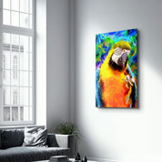 Colorful Parrot | Glass Wall Art - Artdesigna