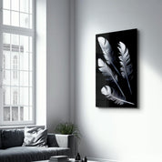 White Feathers | Glass Wall Art - Artdesigna