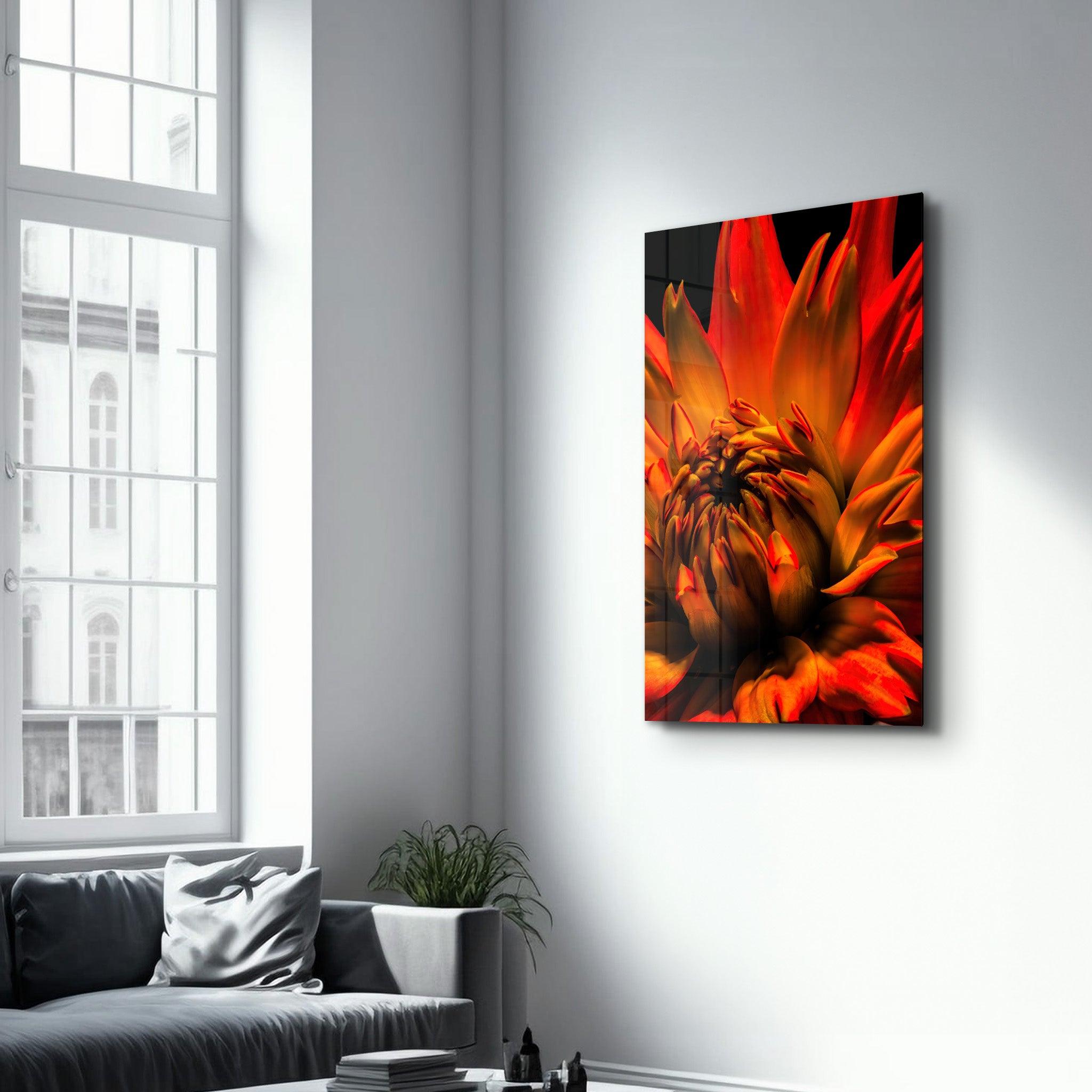 Orange Daisy | Glass Wall Art - Artdesigna