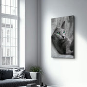 Cat 2 | Glass Wall Art - Artdesigna