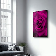 Rose | Glass Wall Art - Artdesigna