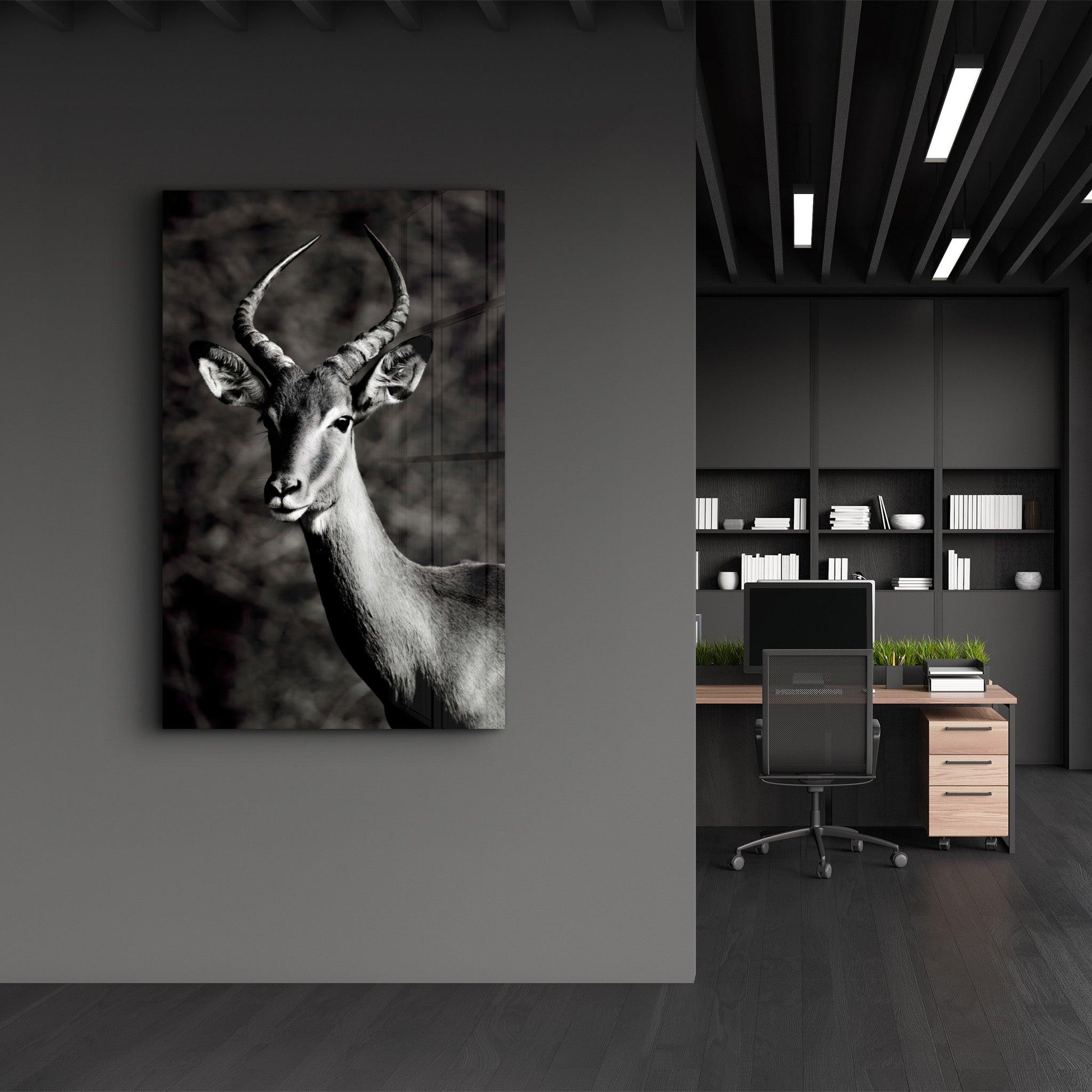 Antilope Black and White | Glass Wall Art - Artdesigna