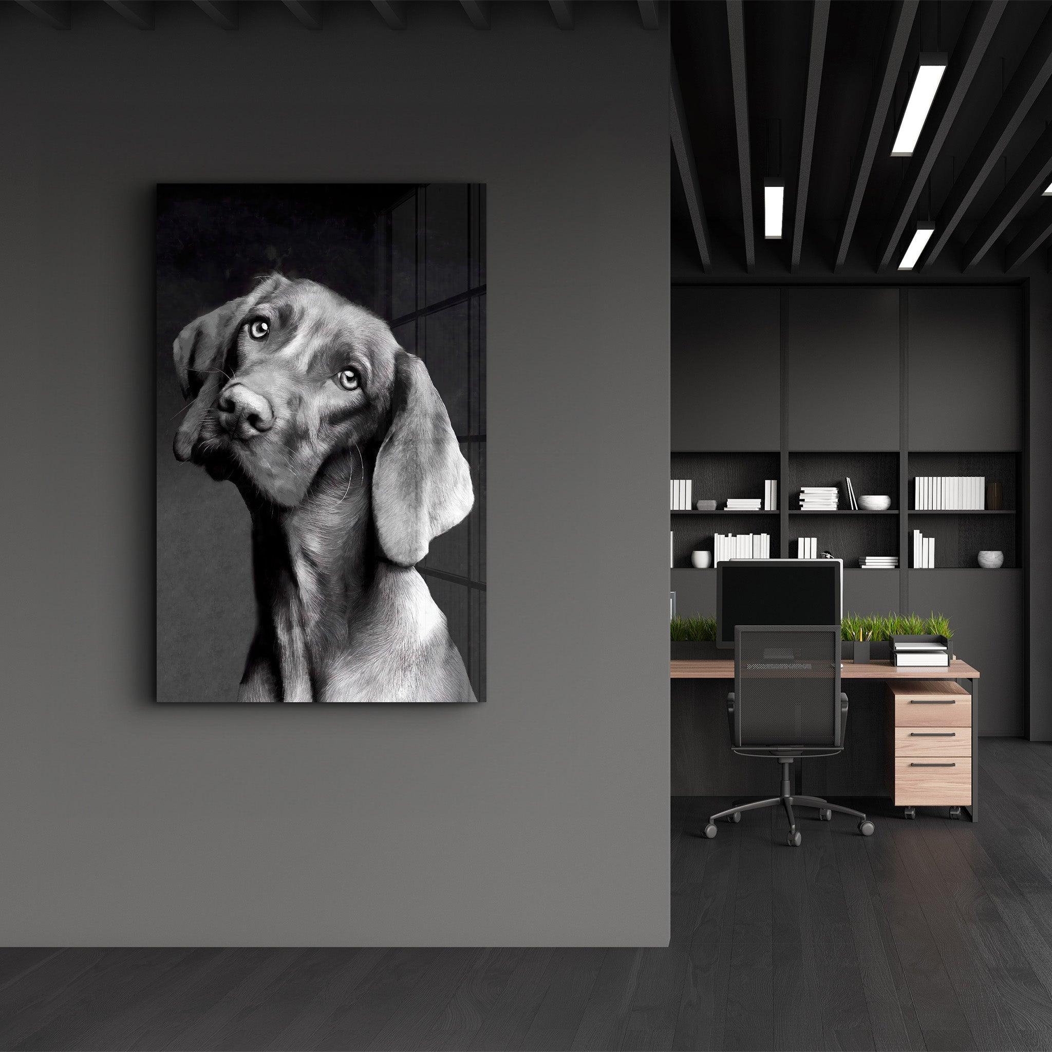 Innocent Dog | Glass Wall Art - Artdesigna