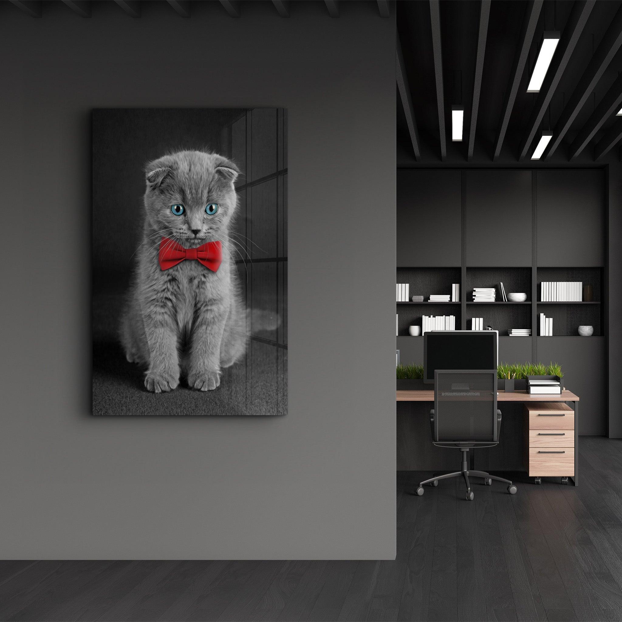 Cat with Bow Tie | Glass Wall Art - Artdesigna