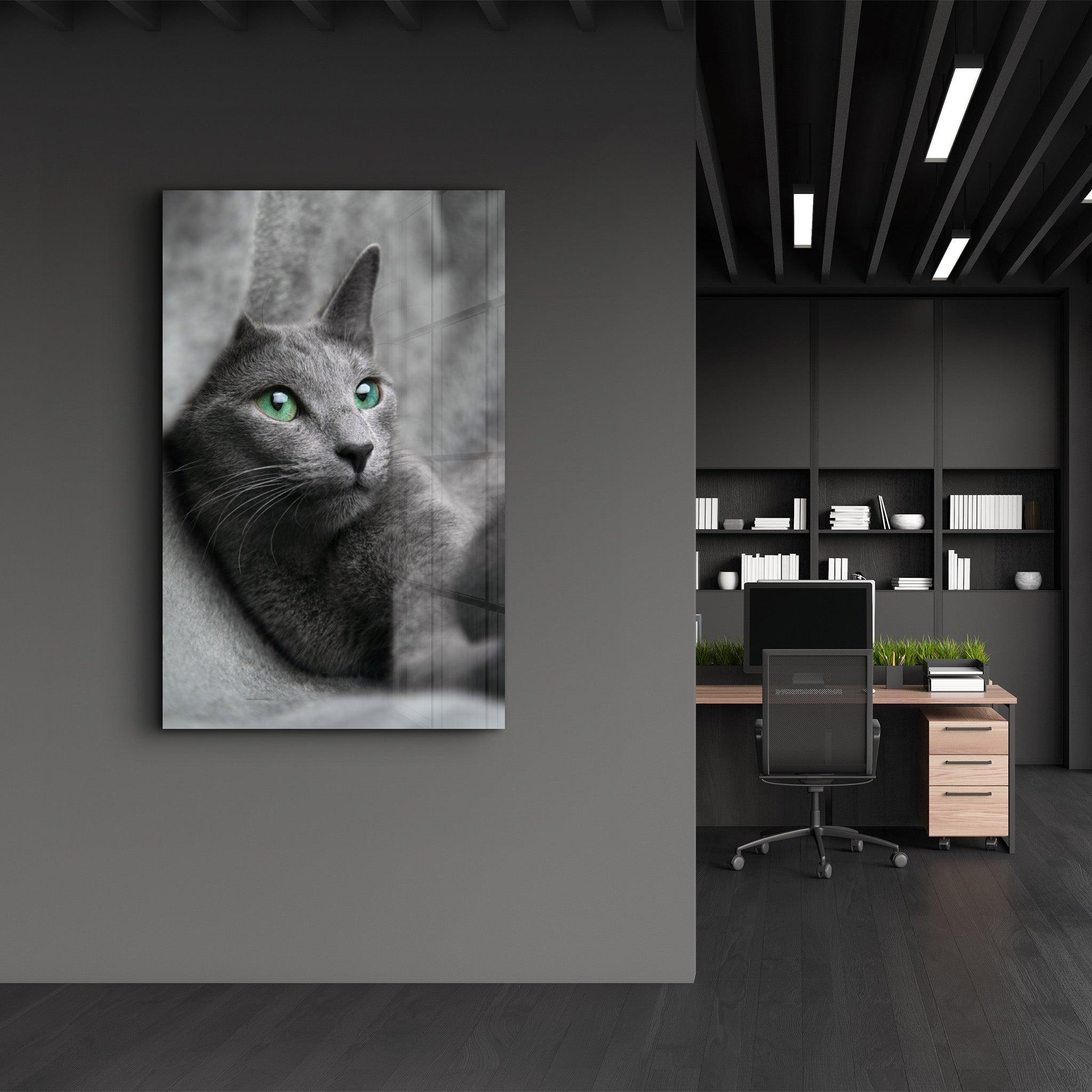 Cat 2 | Glass Wall Art - Artdesigna