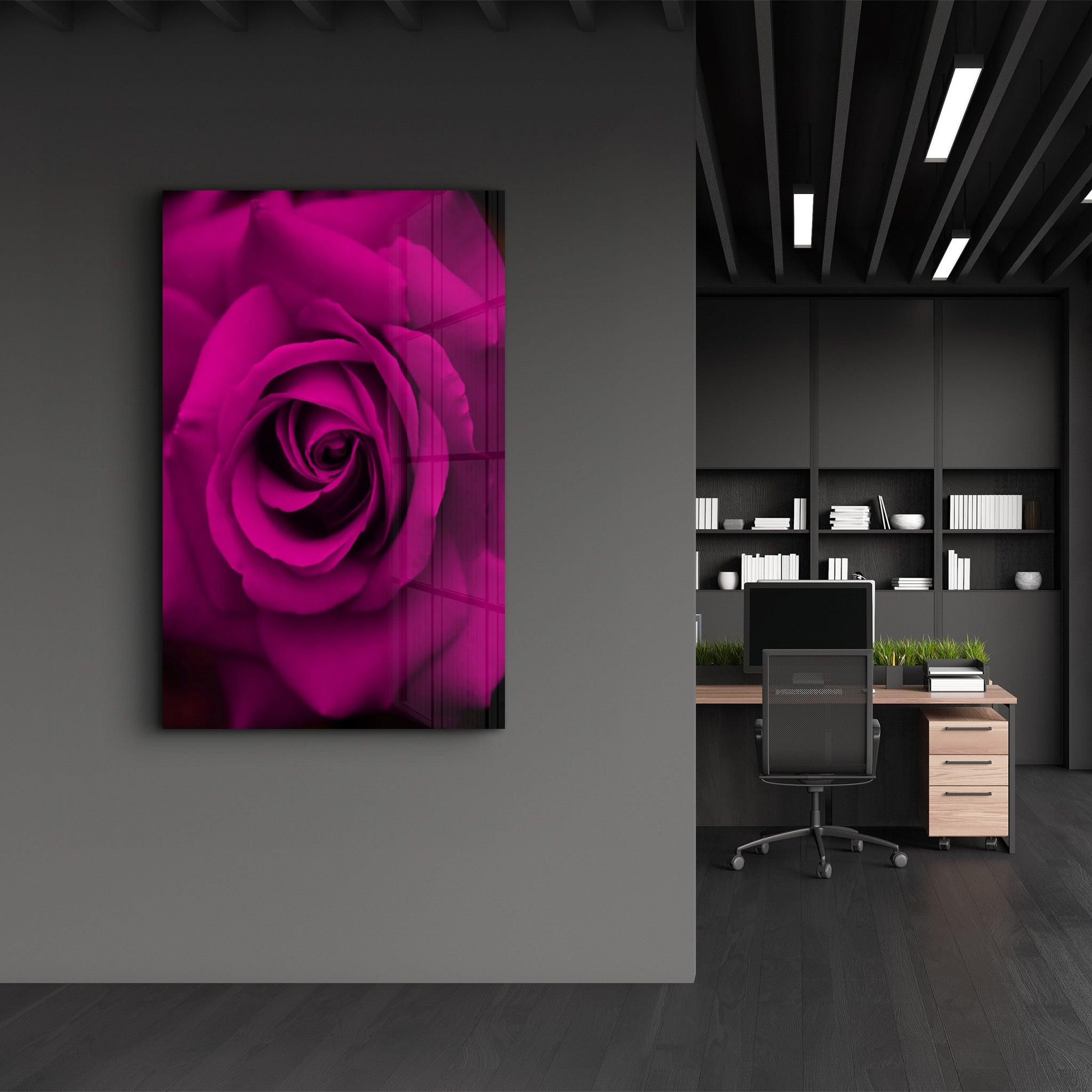 Rose | Glass Wall Art - Artdesigna