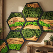 Honeycomb Moss & Olive Tree | Premium Handmade Wall Sculptures