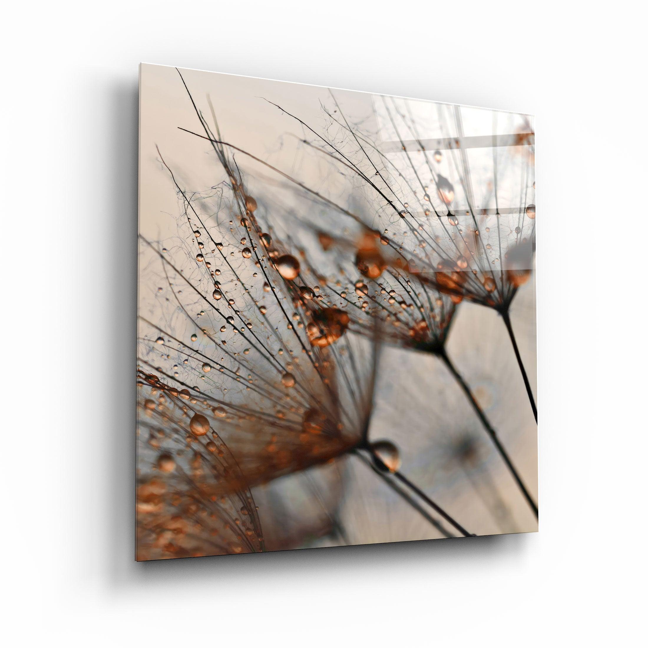 ・"Orange Flower"・Glass Wall Art - ArtDesigna Glass Printing Wall Art