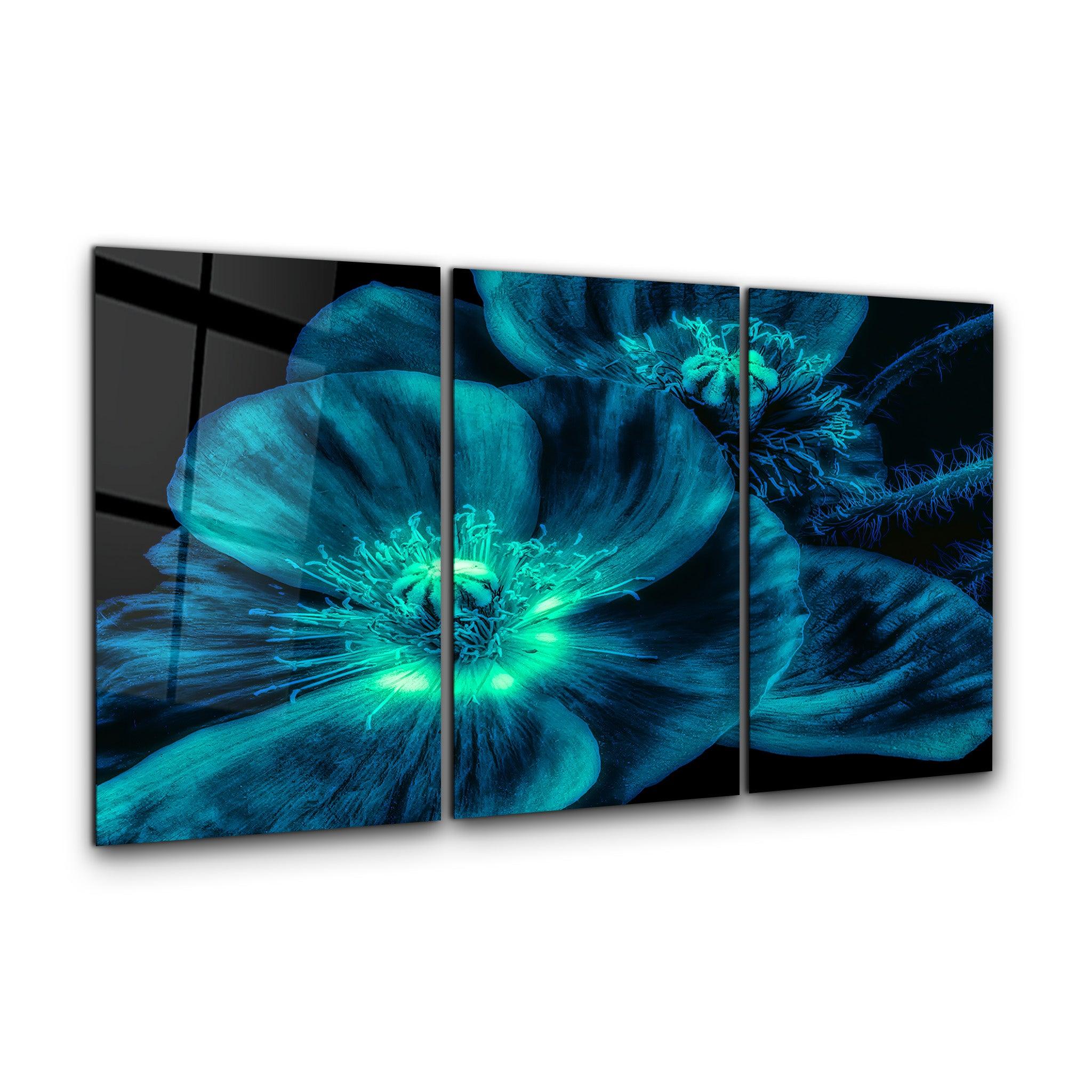 ・"Macro Flower Blue - Trio"・Glass Wall Art - ArtDesigna Glass Printing Wall Art