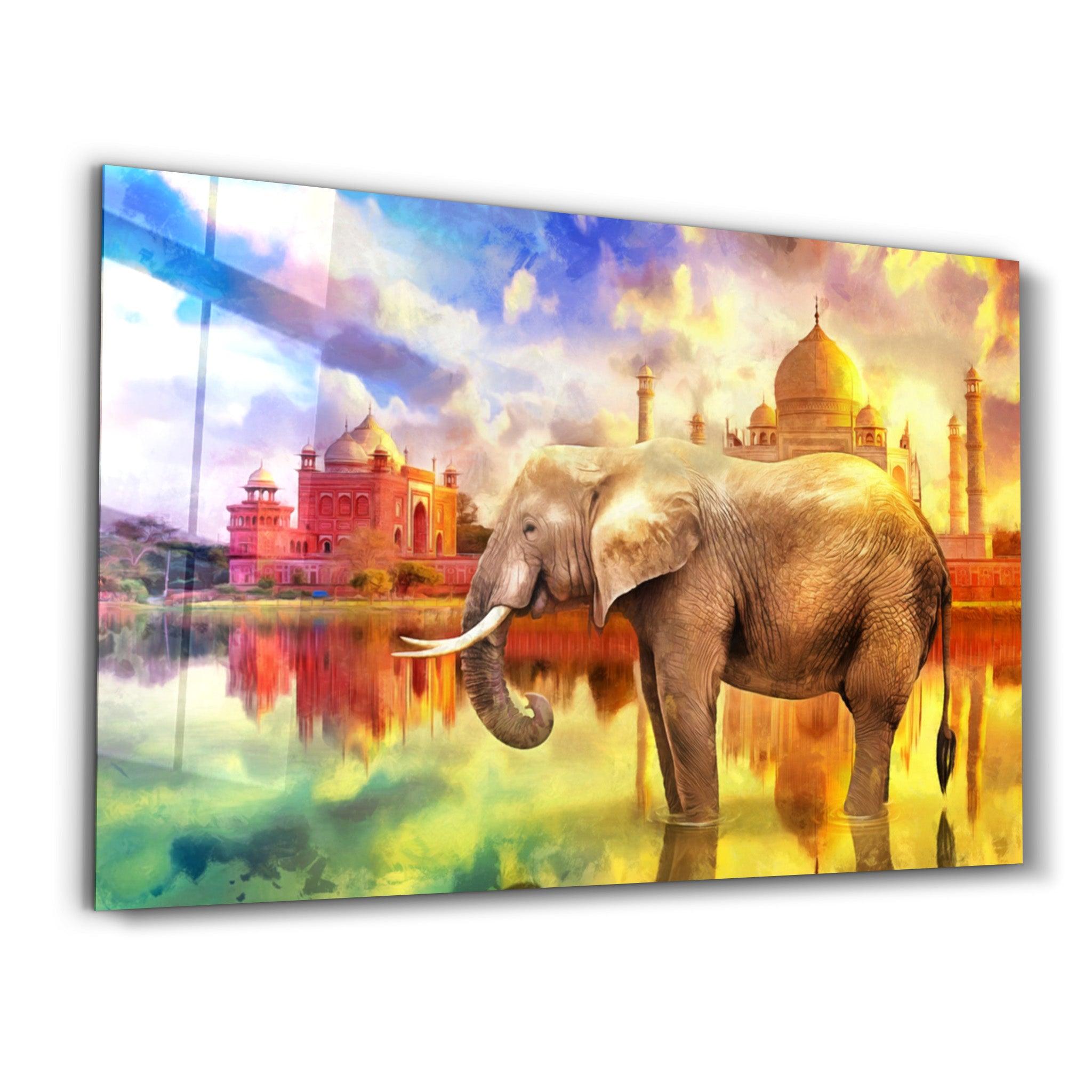 Abstract Elephant | Glass Wall Art - Artdesigna