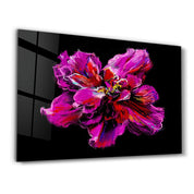 Purple Flower | Glass Wall Art - Artdesigna