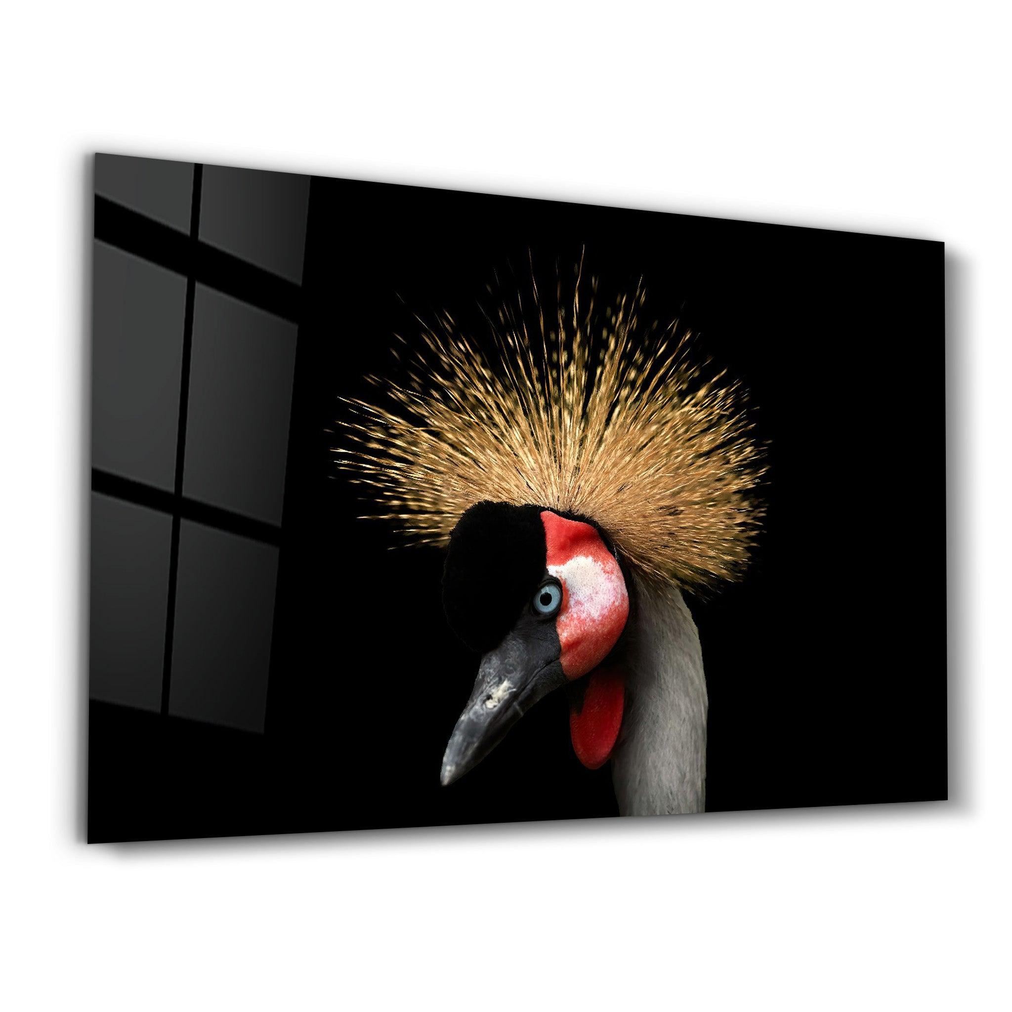 Crowned Crane | Glass Wall Art - Artdesigna