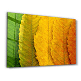 Depth Of Focus | Glass Wall Art
