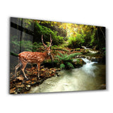 A Beauty In Nature | Glass Wall Art
