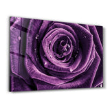 Purple Rose V2 | Glass Wall Art