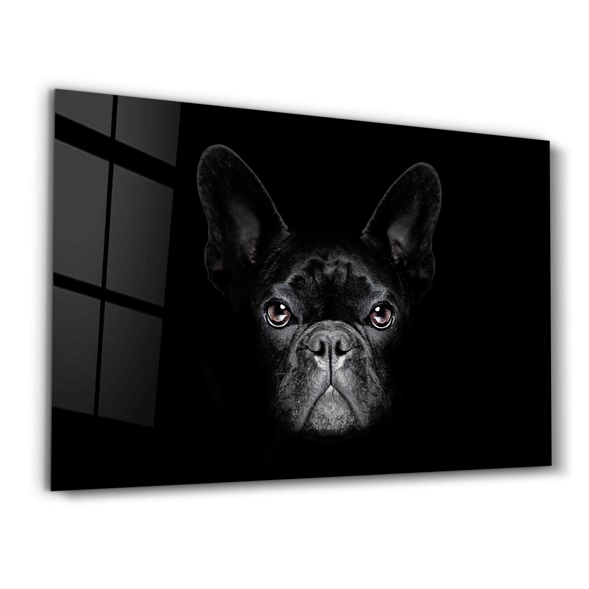 The French Bulldog | Glass Wall Art - Artdesigna