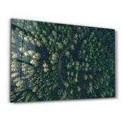 Divided Forest | Glass Wall Art - Artdesigna