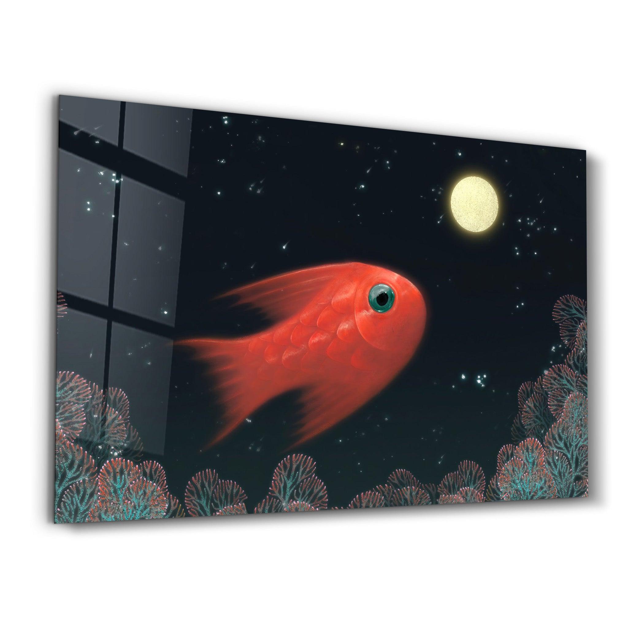 Aquarium Fish | Glass Wall Art - Artdesigna