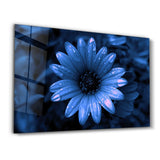 Blue Daisy | Glass Wall Art