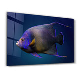 Exotic Fish | Glass Wall Art